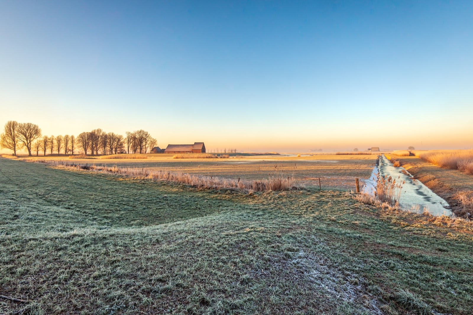 November and December are more comfortable months for outdoor weddings. 