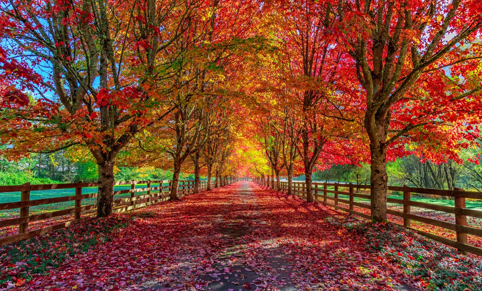 The best time of year for outdoor weddings is October. 