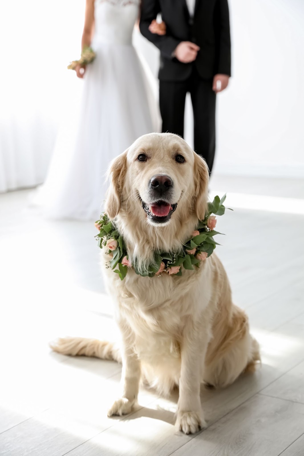 nontraditional wedding ideas