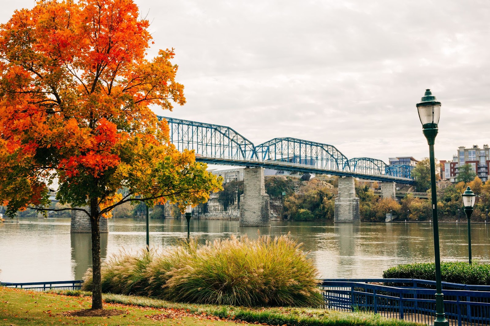 city bridge river